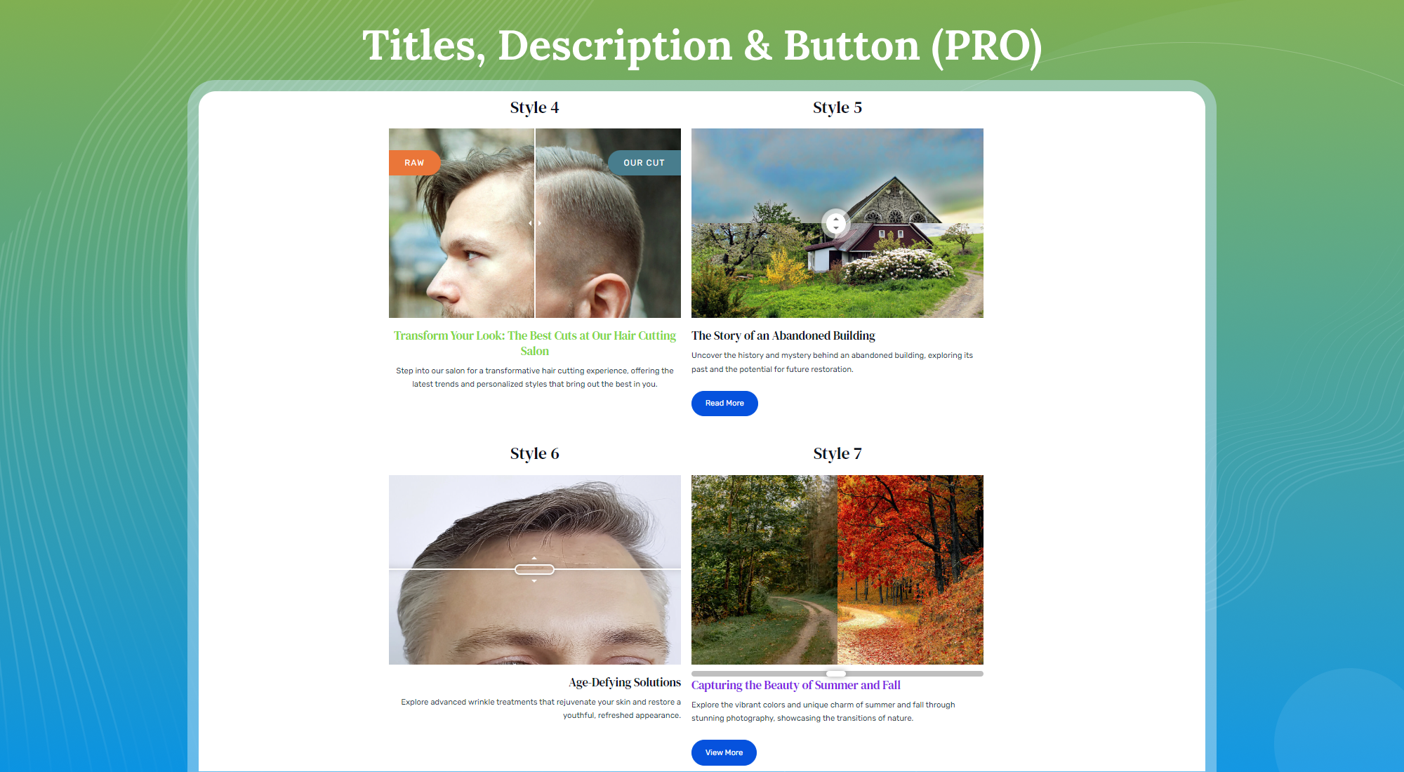 Titles, Description & Button (Pro)