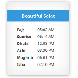 Beautiful Salat Icon