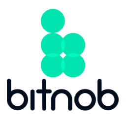 Bitnob – Accept Bitcoin Payments (On-chain & Lightning) logo