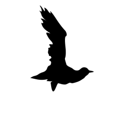 Black Crow (CSS Flying Bird) logo