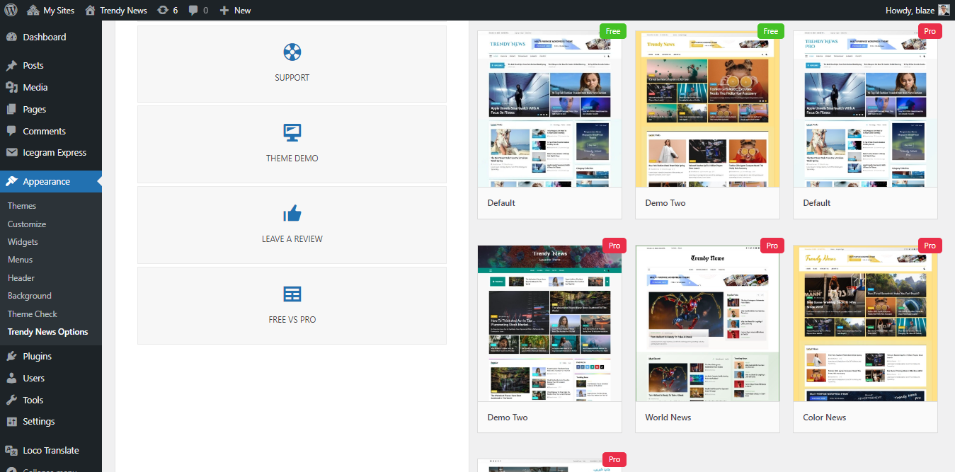 List of Demos available in theme.
