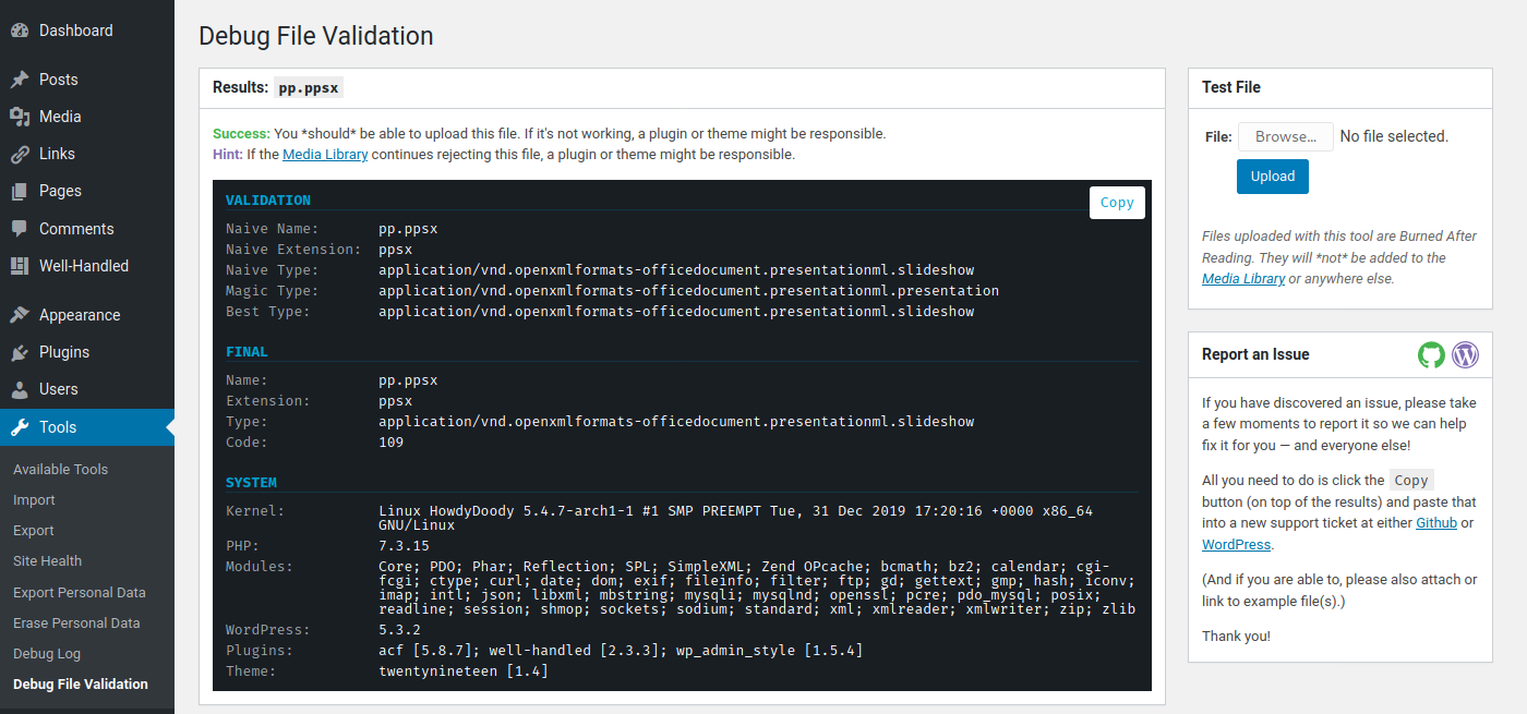 Example output from <code>Tools > Debug File Validation</code>.