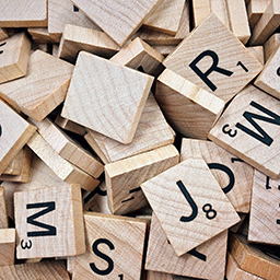 Blocks for Gutenberg logo