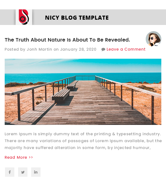 Blog Designer with 'Nicy' Blog Template Layout