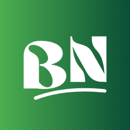 BlogNews For Elementor Icon