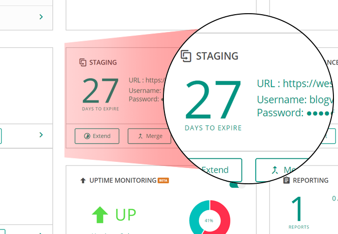 With BlogVault's free Staging test updates, WordPress plugins, and WordPress themes without breaking your live site.