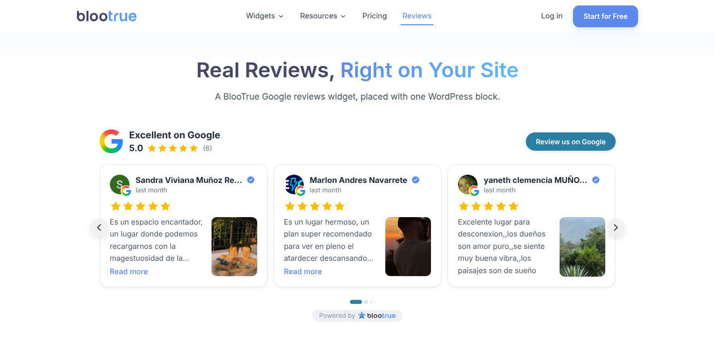 A review widget running on a page.