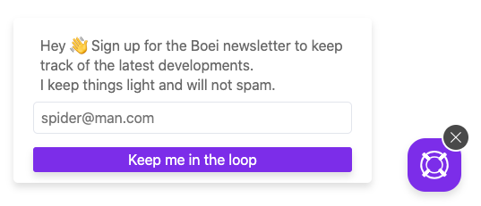 Newsletter signup form inside Boei