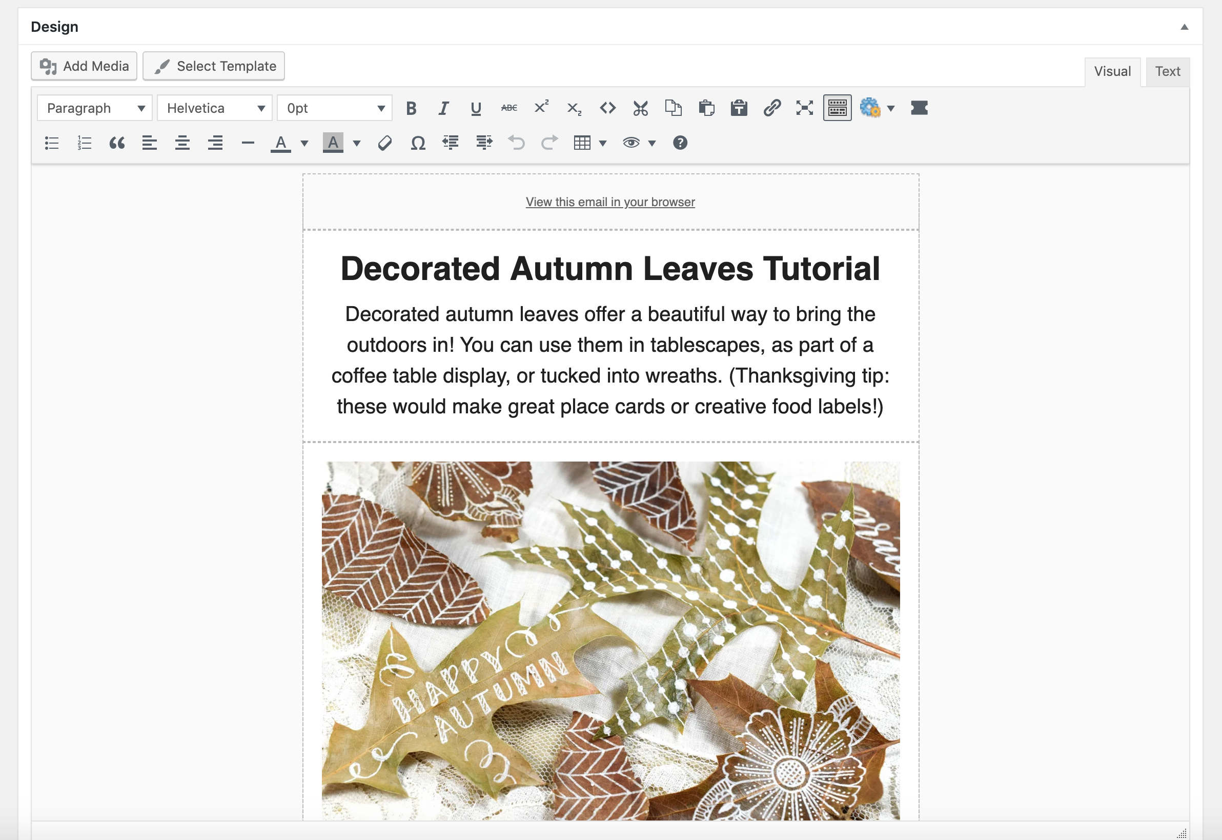 The newsletter editor will be familiar to you because it uses the native WordPress editor to customize your emails!