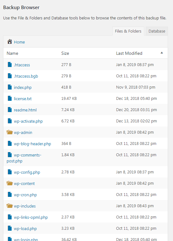 Use the Backup Browser to view what files are contained in each of your backups.