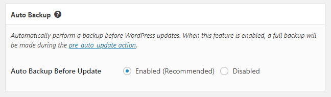 Automatically perform a backup before WordPress auto updates itself. This feature hooks into the <a href="https://developer.wordpress.org/reference/hooks/pre_auto_update/">pre_auto_update</a> action.