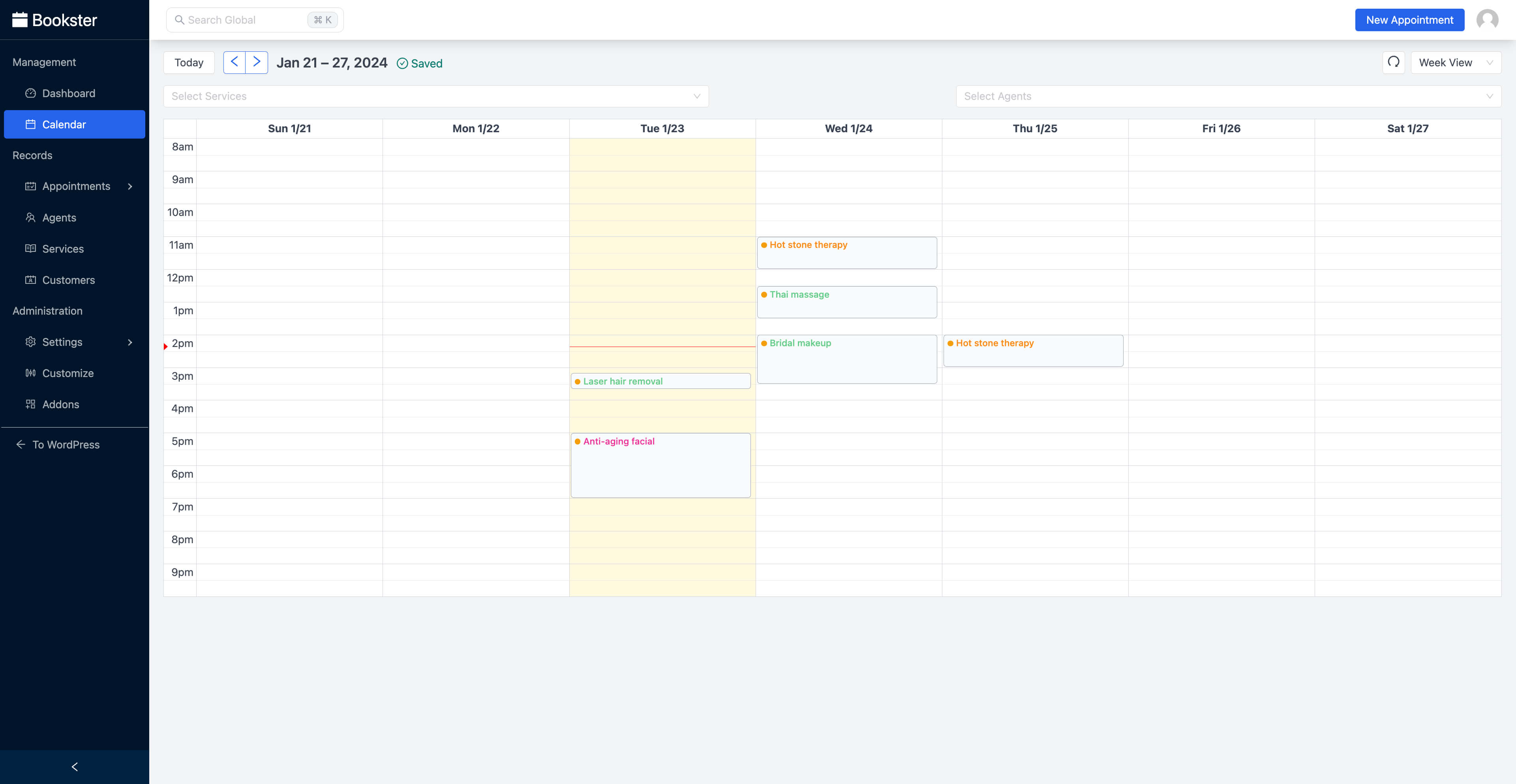 Manage the appointment booking calendar in WordPress dashboard