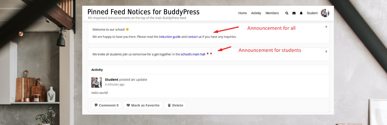 Pinned Feed Notices for BuddyPress