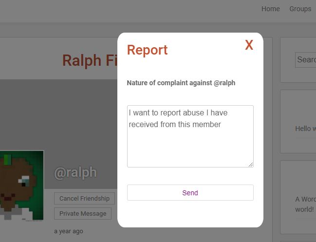 Send admin a custom message when a user reports another user (pro feature)