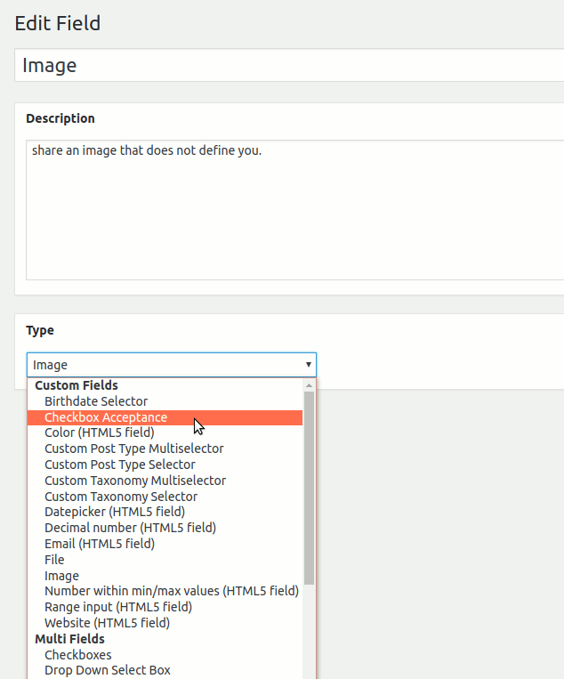 BuddyPress Xprofile Custom Field Types