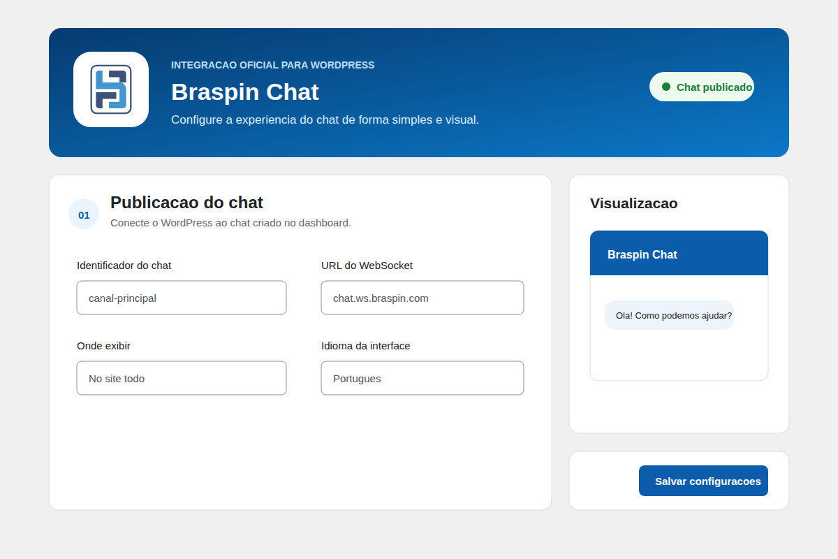 Braspin Chat setup with connection details and display rules.