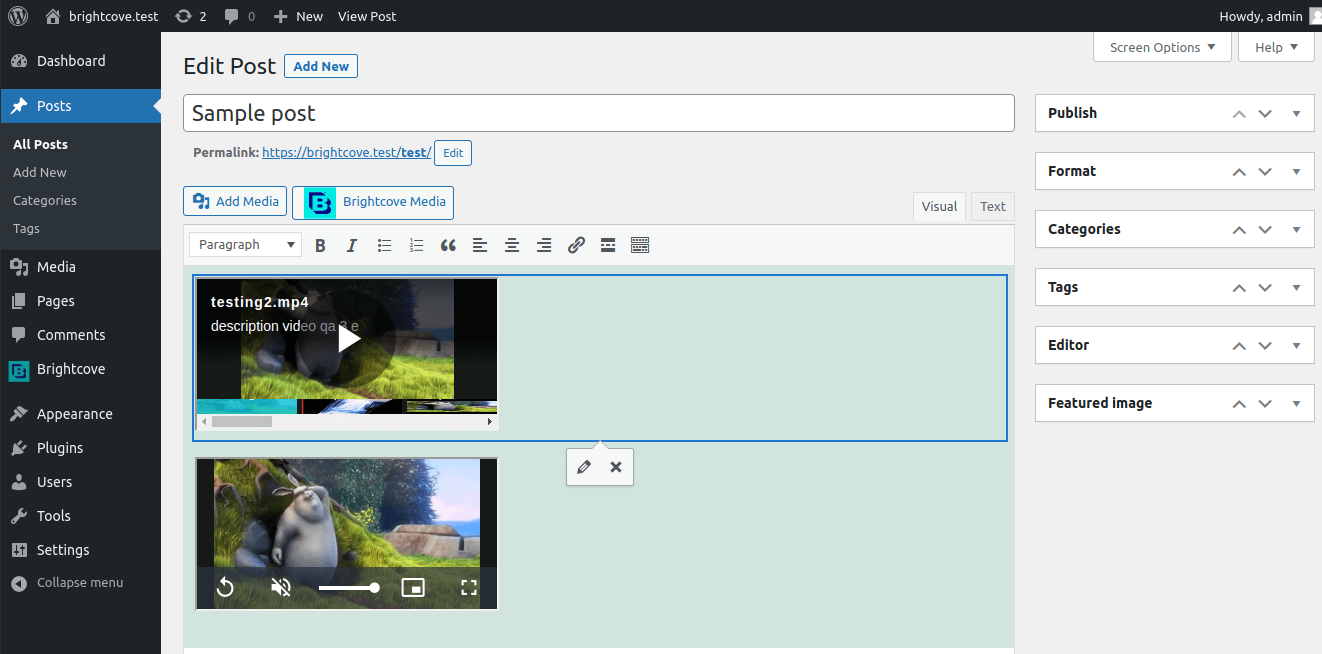 Showing two videos added to a post in the visual mode.