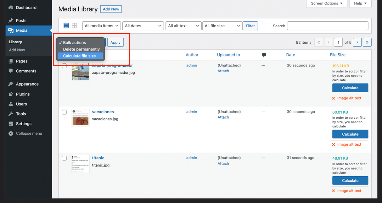 Bulk Action to calculate file size.