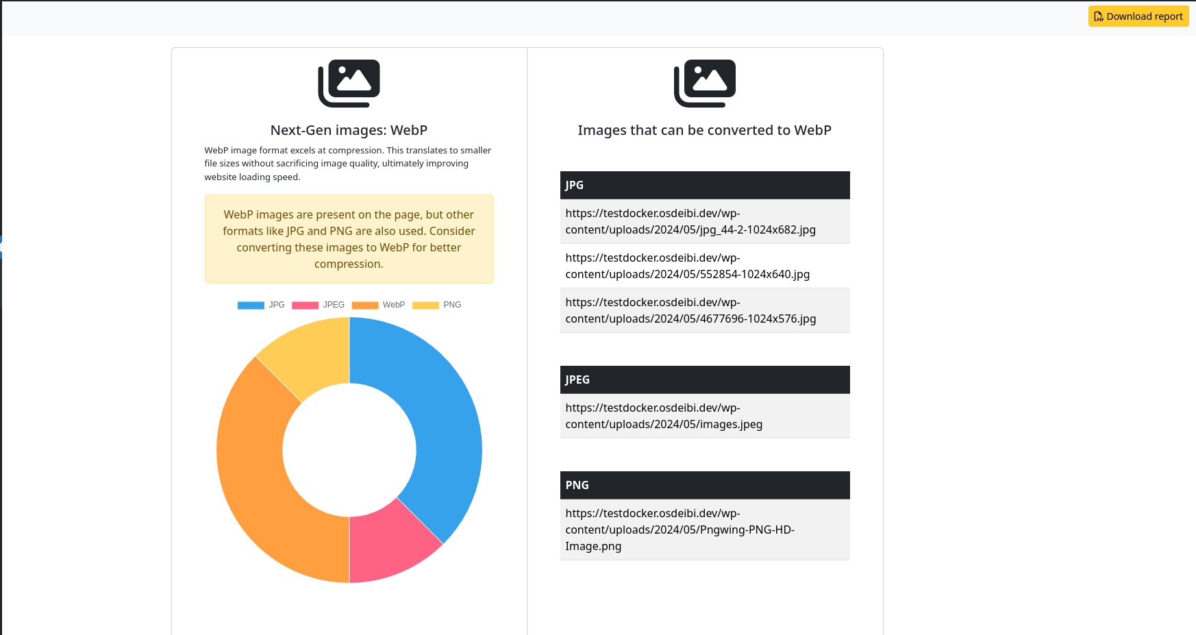 Download a Report in PDF