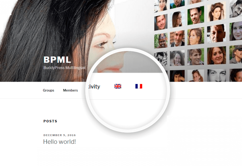 Language switcher in the navigation
