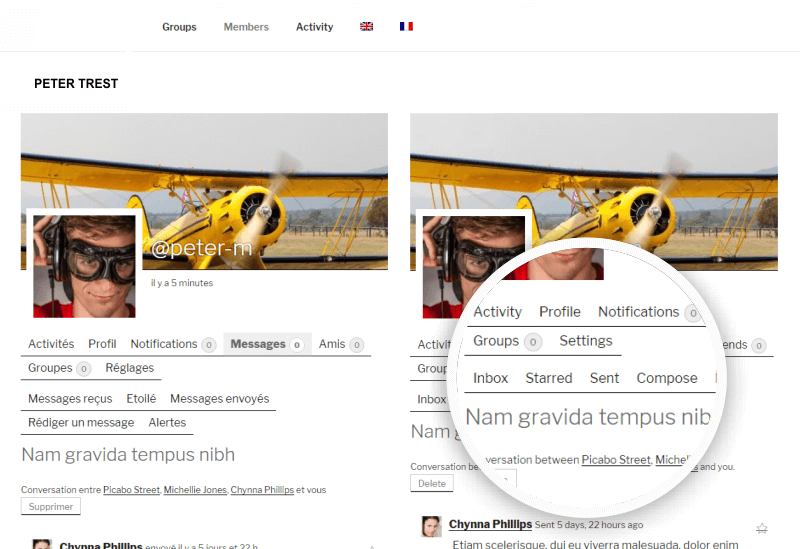 Message in other language