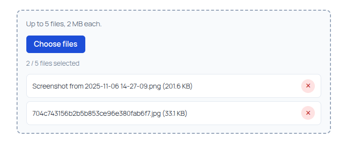 Selected files list with remove controls and file count