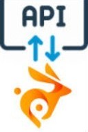 Bunny.net+BunnyAPI Icon