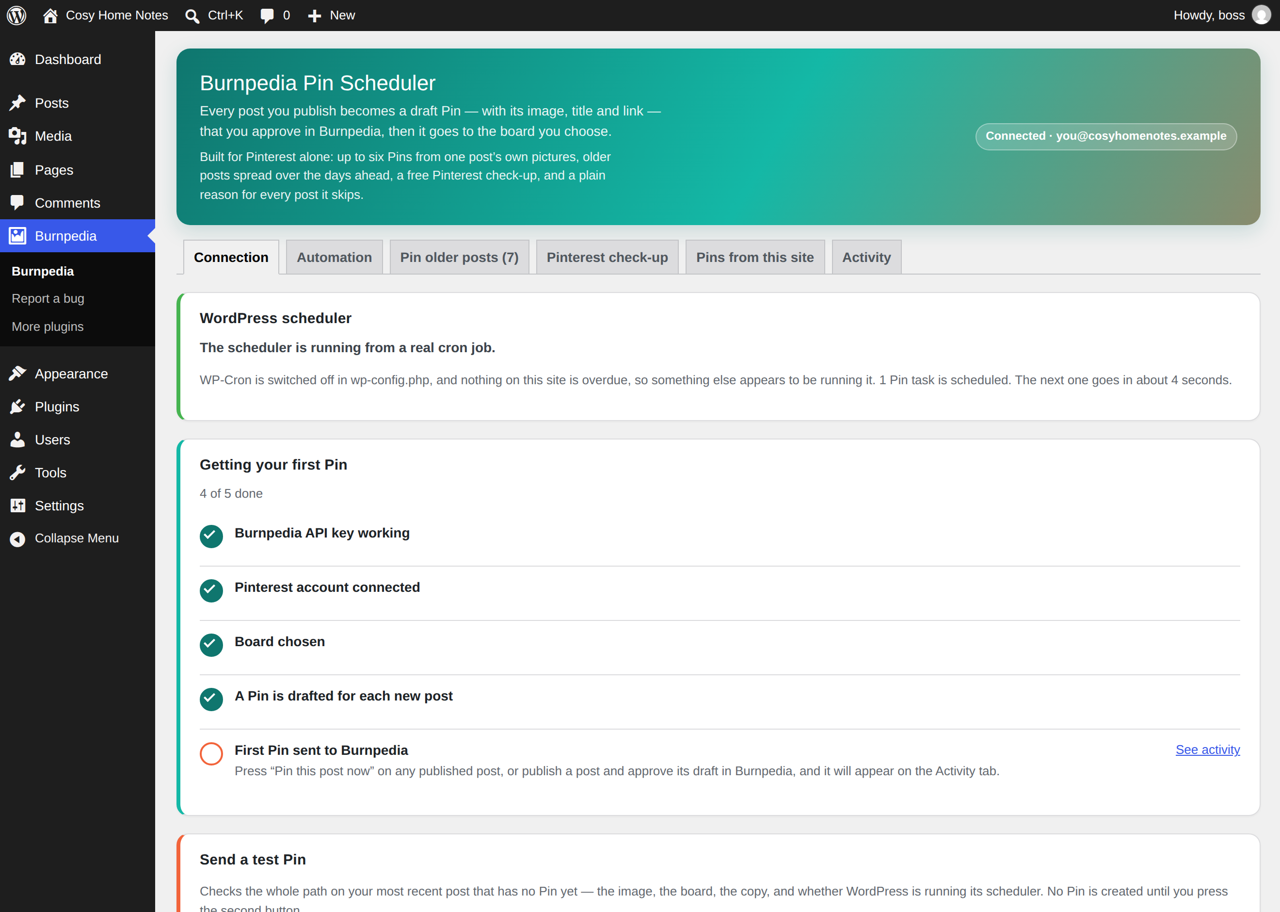The settings screen: connection status, plan, and today's Pin allowance.