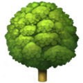 Buy me a Tree logo