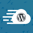 Cloudways WordPress Migrator Icon