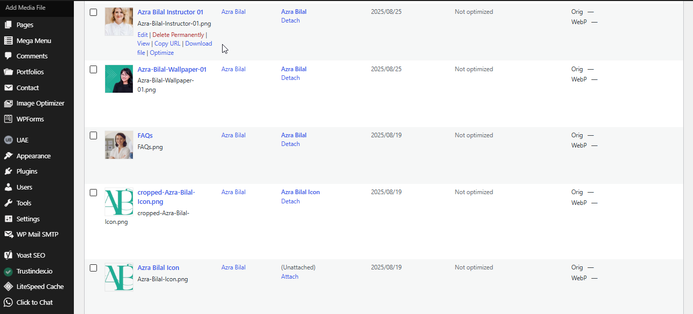 Server Status — WebP/AVIF support, PHP, memory and web-server/CDN detection.