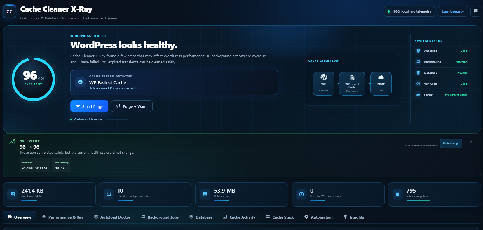 X-Ray dashboard with WordPress Health and the detected cache system.