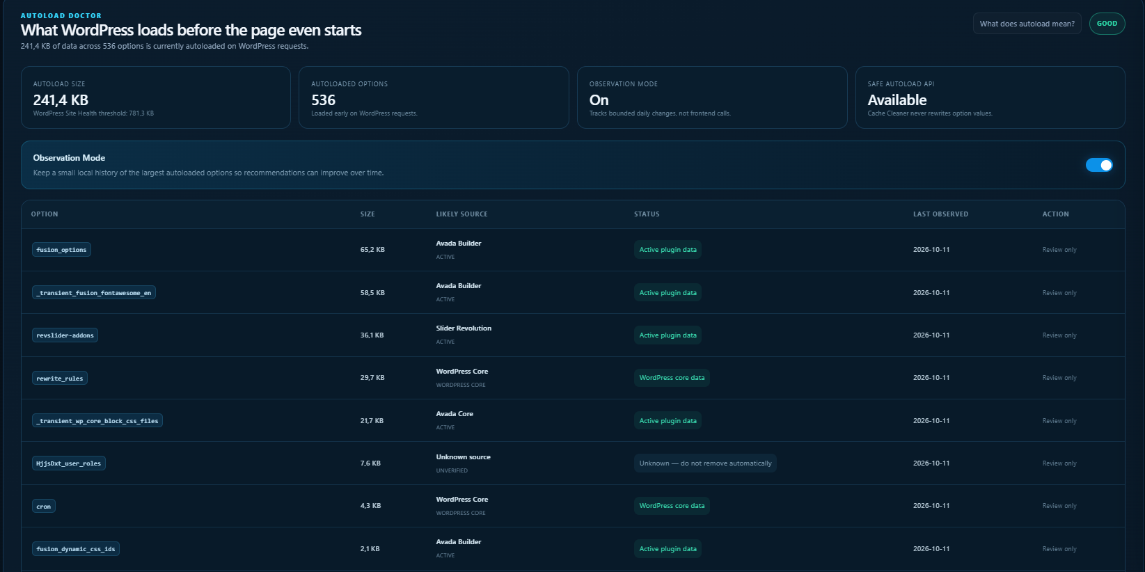 Autoload Doctor showing the largest autoloaded options and review status.