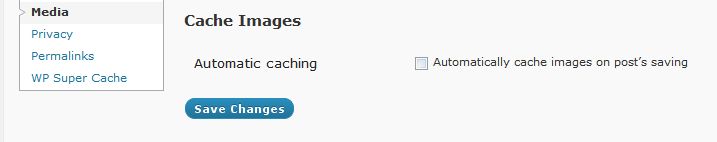 Settings for automatic caching