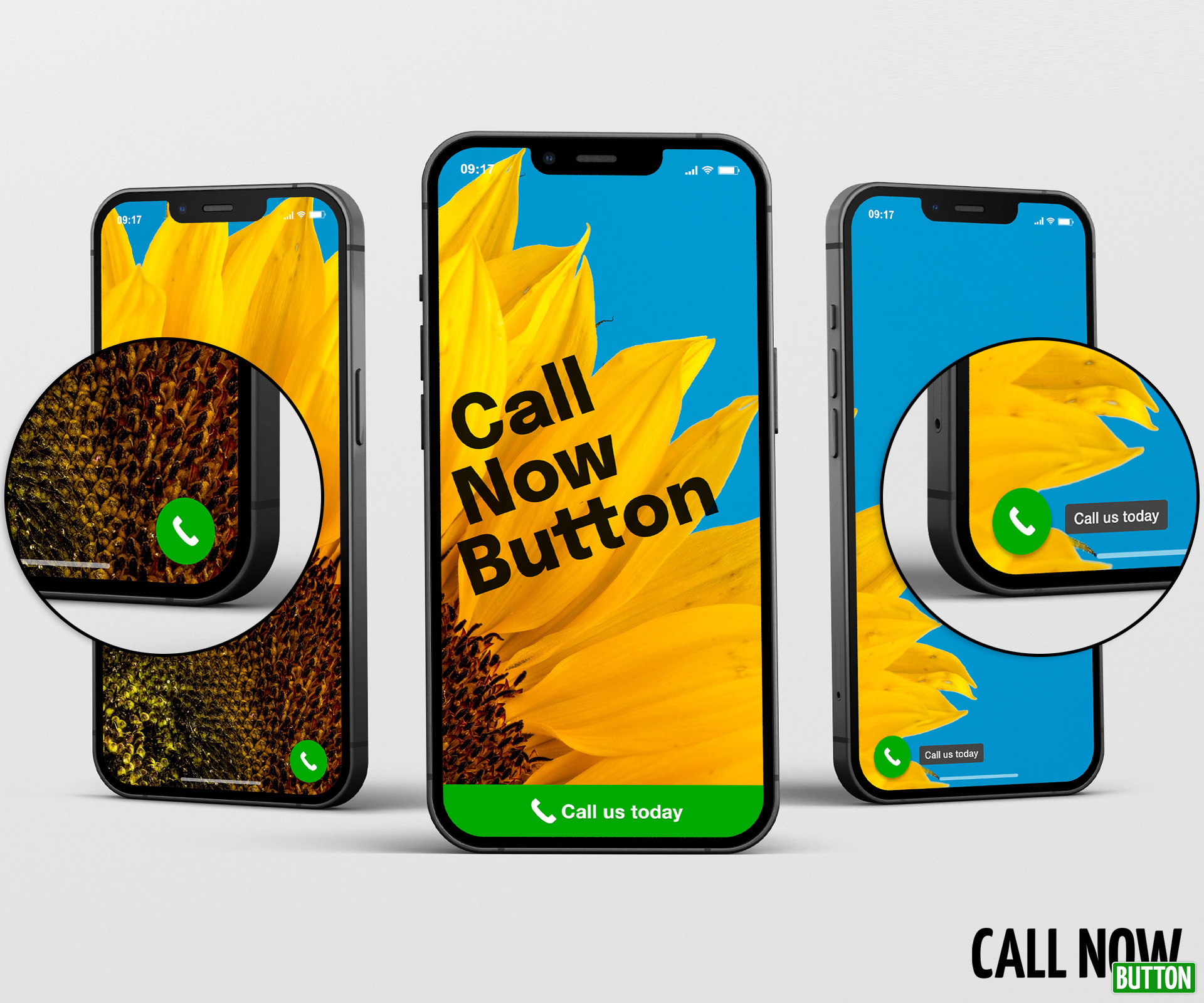 The 3 variations of the Call Now Button