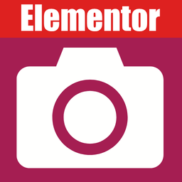 Camera Field for Elementor Forms 外掛圖示
