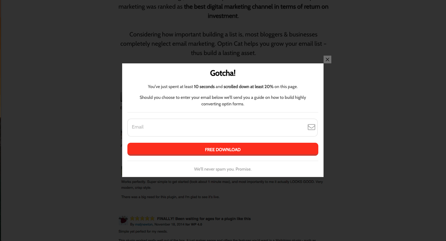 Campaign Monitor Popup