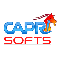 Capri Widget Visibility Icon