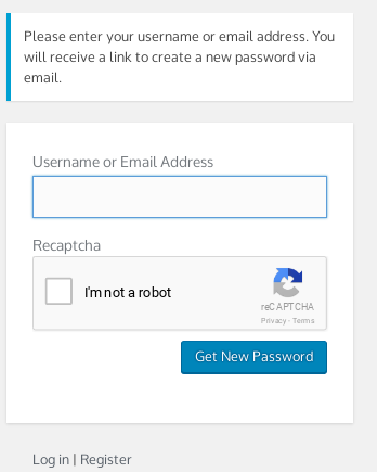 Lost Password Form