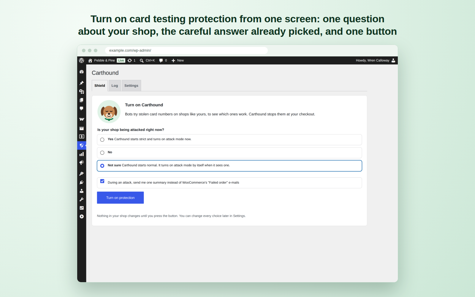 Turn on card testing protection from one screen: one question about your shop, the careful answer already picked, and one button