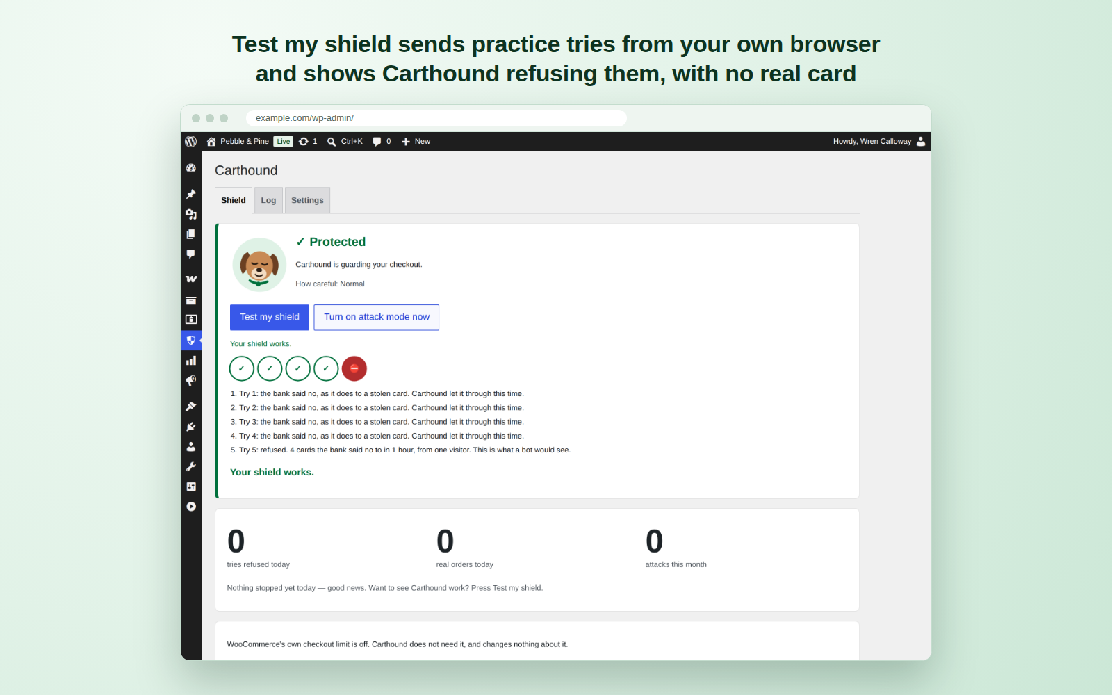 Test my shield sends practice tries from your own browser and shows Carthound refusing them, with no real card