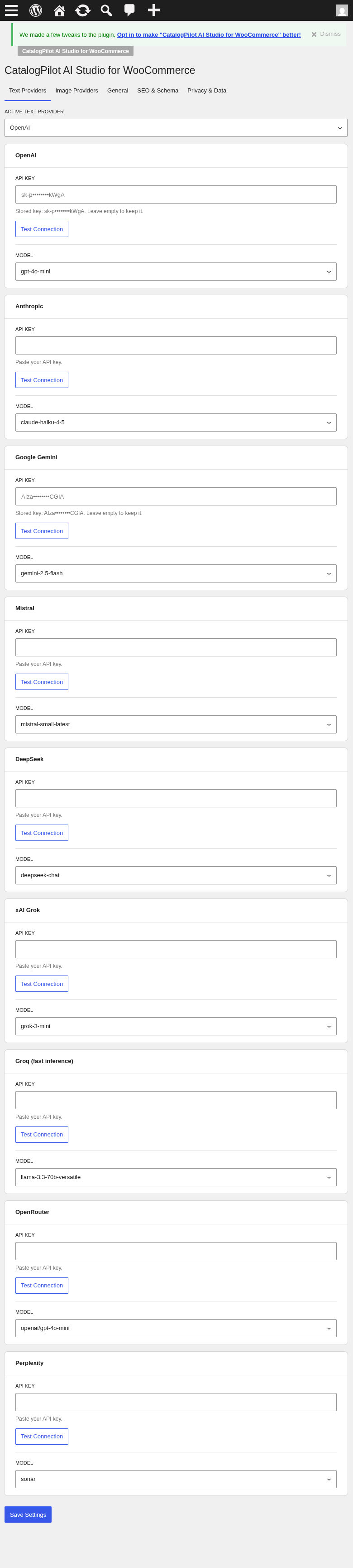 Settings dashboard — 9 text providers, 4 image providers, BYOK setup