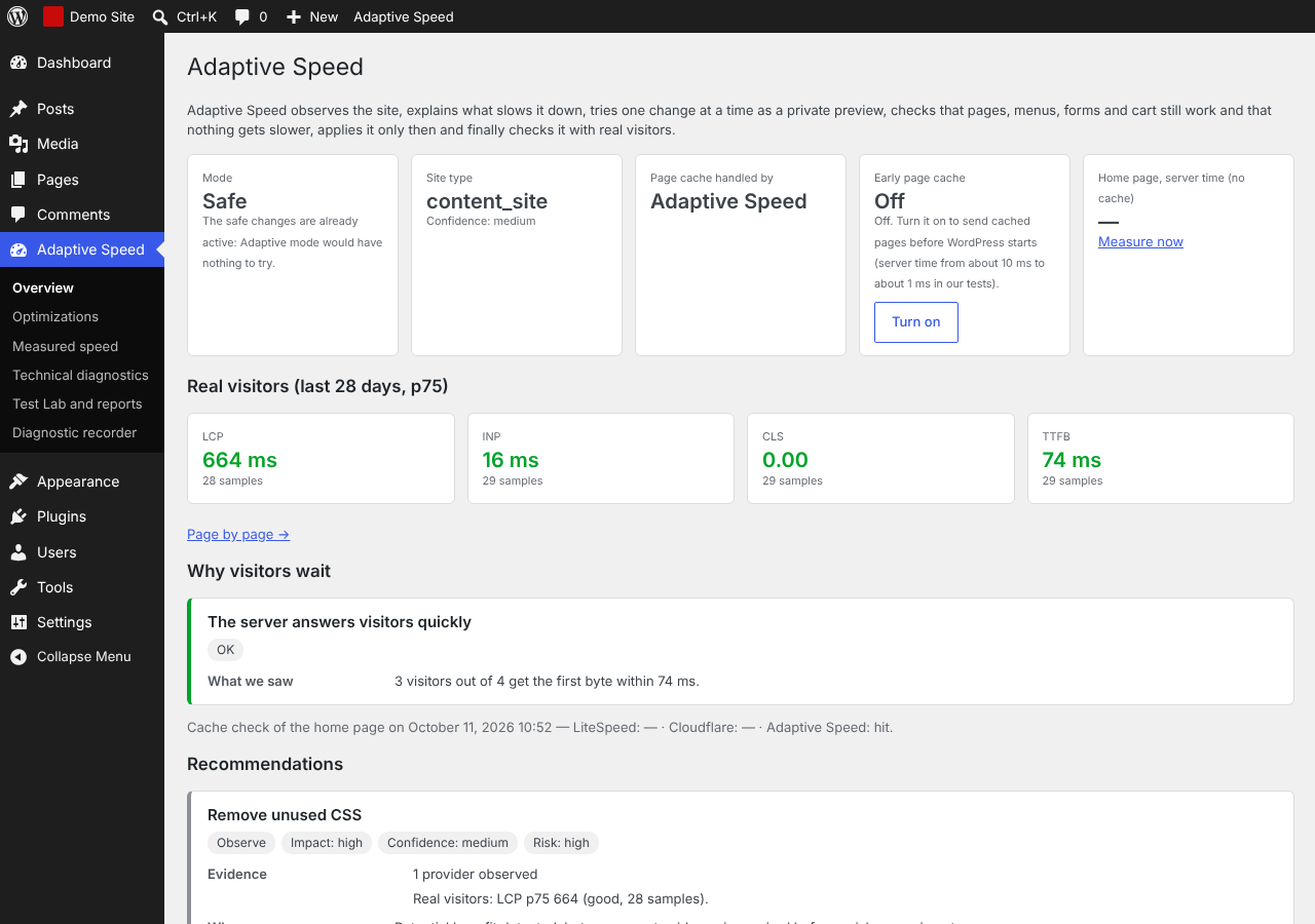 Overview: mode, cache status and the speed measured on your visitors' devices.