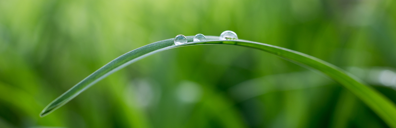 CF7 Submissions – Securely Store Contact Form 7 Data and Attachments, Reply to the Sender and more