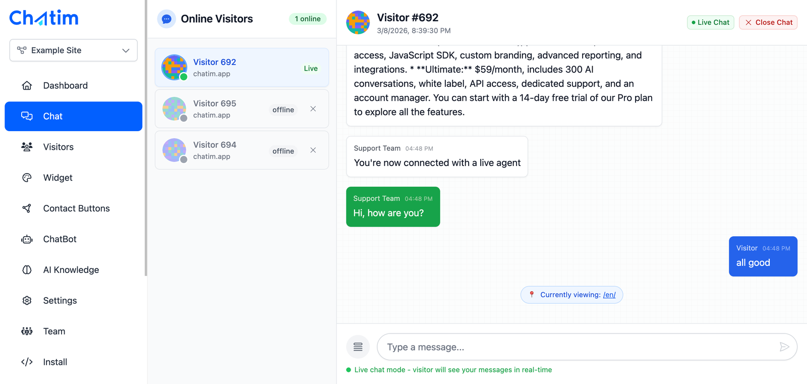 Shared inbox: live chat with visitors, see the page they are on