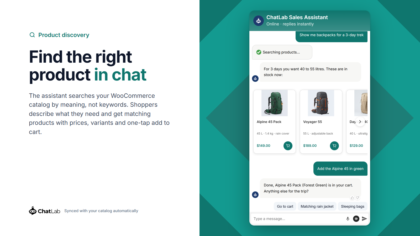 Product discovery - shoppers describe what they need and get matching products with add to cart