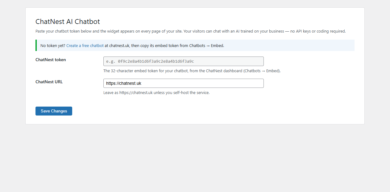 Plugin settings — paste your token and the widget goes live.