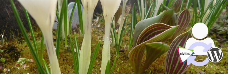 CiviCRM Profile Sync