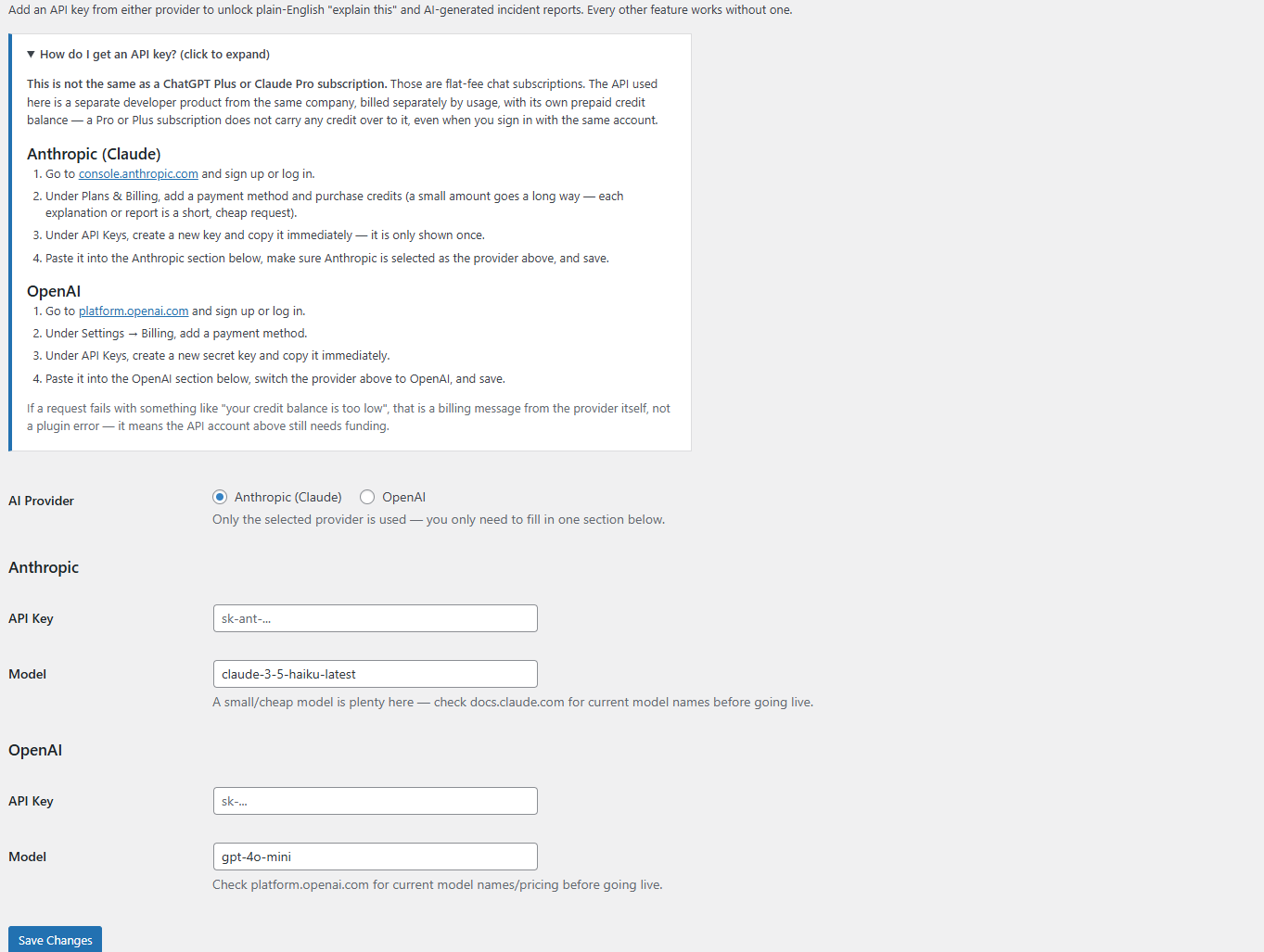 AI Settings: choose Anthropic or OpenAI, paste your own API key, and use the built-in guide if you have never created one before.