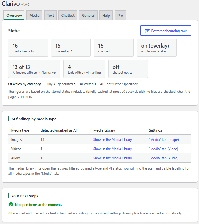 Overview: the dashboard shows the AI status by media type and your next steps.